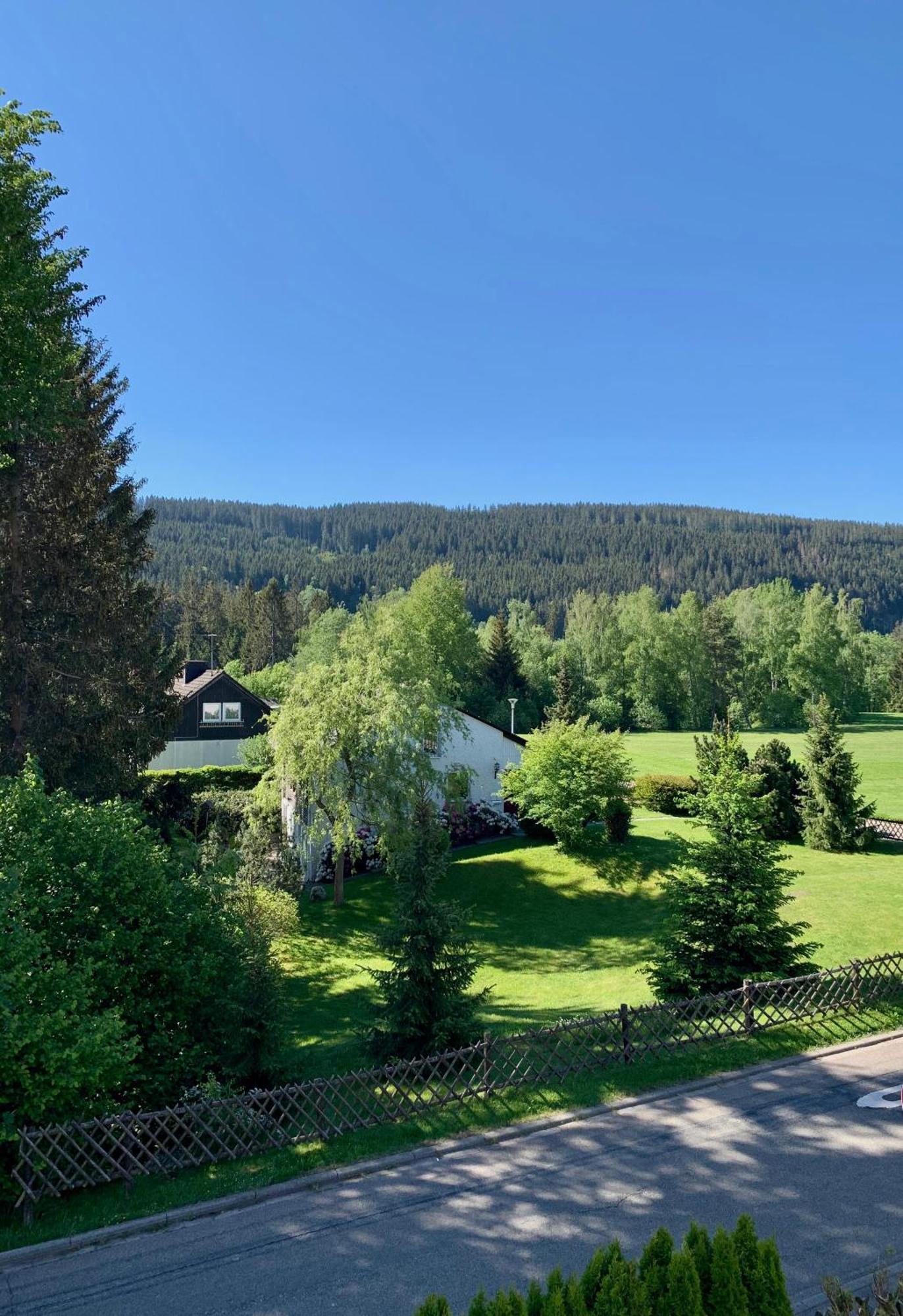 Ferienwohnung Homburger - Titisee מראה חיצוני תמונה