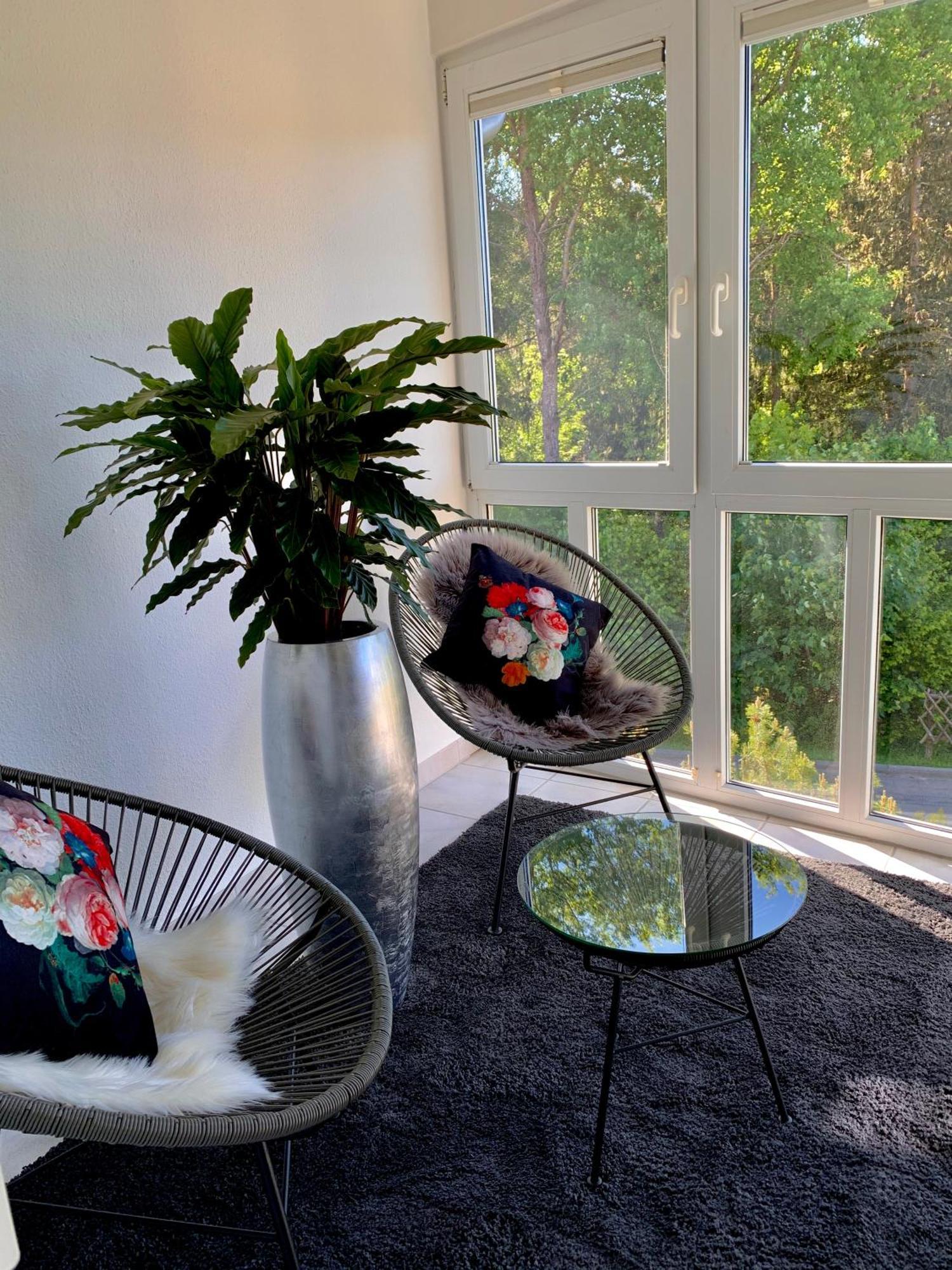 Ferienwohnung Homburger - Titisee מראה חיצוני תמונה